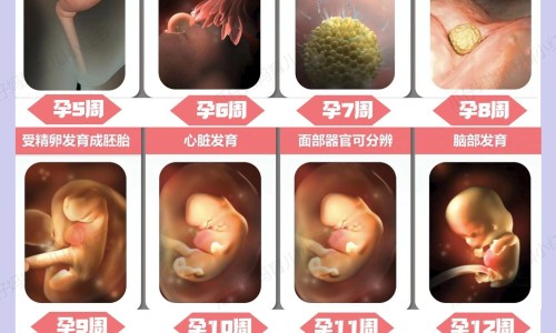 怀孕期间女人抽搐正常吗-孕妇抽搐怎么回事专区_孕期抽筋的原因和处理方法专区_怀孕期间女人抽搐网