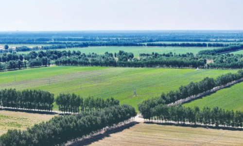 怀孕期间女人抽搐正常吗-孕妇抽搐怎么回事专区_孕期抽筋的原因和处理方法专区_怀孕期间女人抽搐网